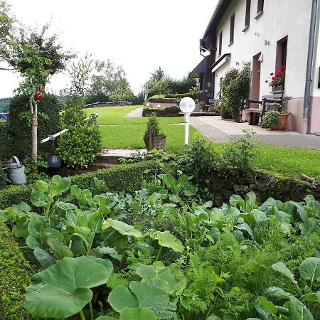 Ferienwohnung Huegelhaus Plütscheid Exteriör bild